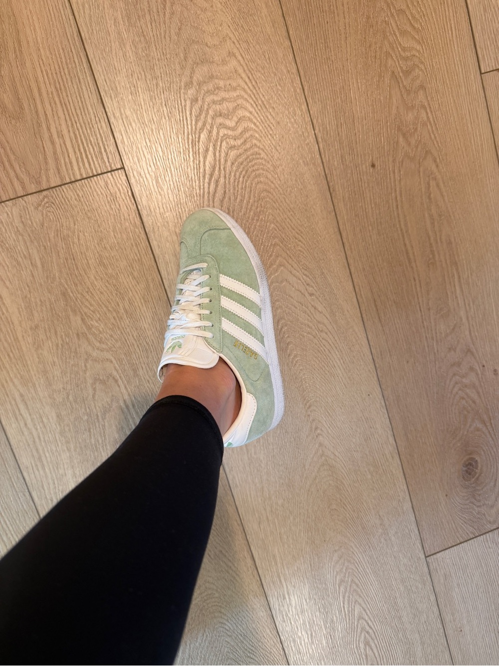 Gazelles